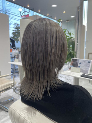  シルバーグレージュ