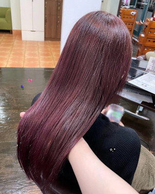 ピンクラベンダー