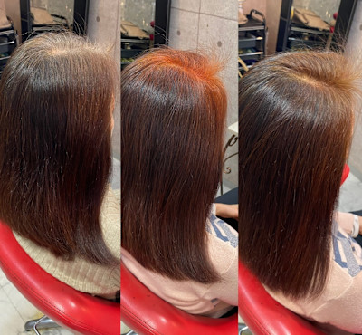 ヘナ専科 BUSH 01-style×スタイル