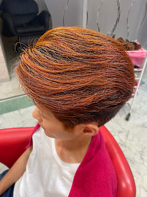 ヘナ専科 BUSH 01-style×スタイル