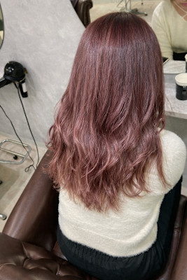 ピンクラベンダー