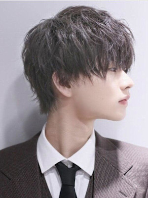 ファイバーショート