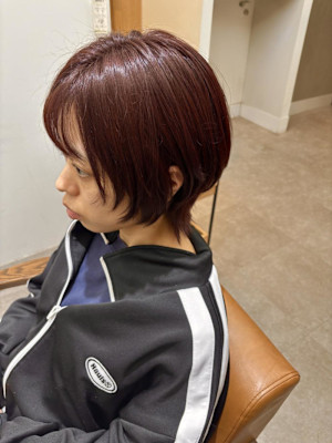 レッド系.ショート.20代.30代