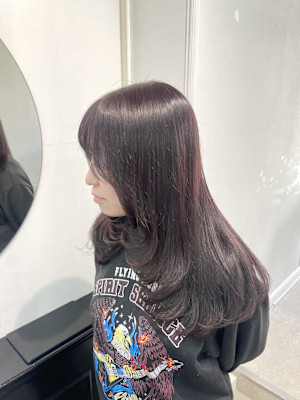 レッドカラー/カシスカラー/レッドブラウンカラー