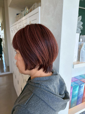 サステナブルカラー　Terra