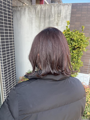 ピンクラベンダー 春にオススメ！