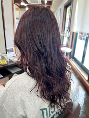 ボルドーカラー