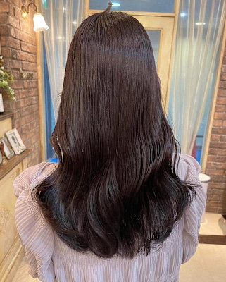 ダークブラウン/スモーキーブラウン/スモーキーカラー