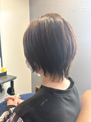 ショートウルフ