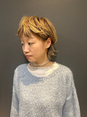 ハイトーンカラーウルフ