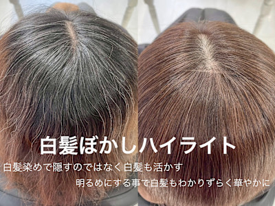 白髪ぼかしハイライト
