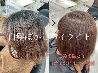 白髪ハイライト