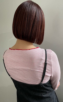 ARiA TWiN by ECLART×スタイル