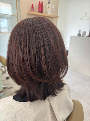 albero×スタイル