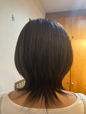 S'レイヤー（ウルフ）