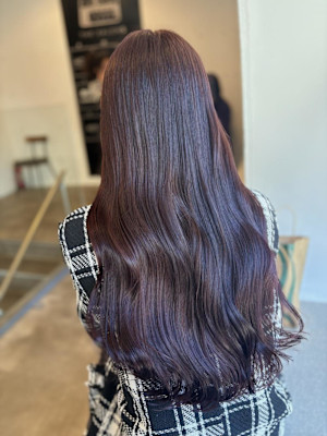 ピンクラベンダー