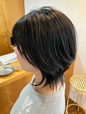 S'レイヤー(ボブレイヤー、ウルフ)