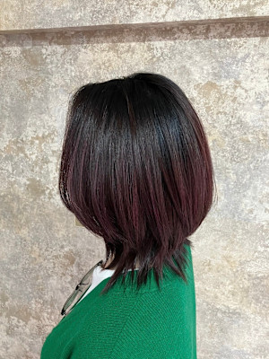 S'レイヤー（ボブレイヤー、ウルフ）