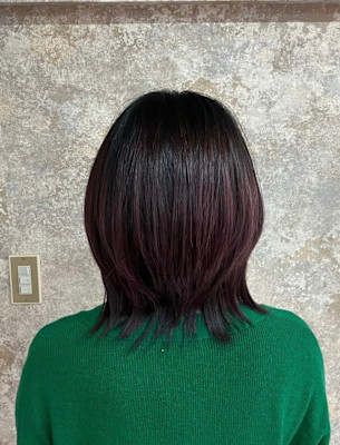 S'レイヤー（ボブレイヤー、ウルフ）