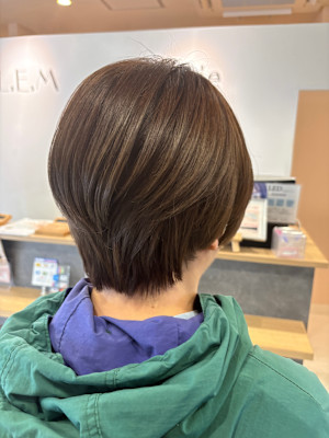 チョコレートブラウン×ショート