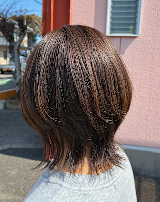 ミディアムウルフ