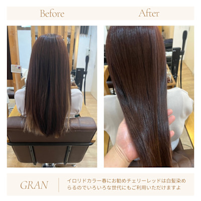 お客様髪質改善データ1991（春のお勧めカラー）