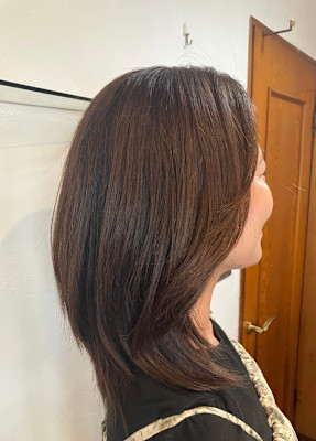 SL'レイヤー(ローレイヤー)