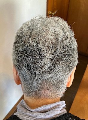 S’レイヤー(ツーブロック)