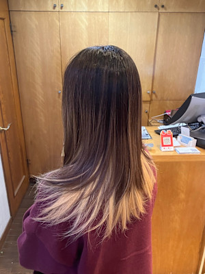 L'レイヤー(ローレイヤー)