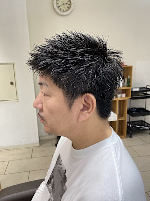 メンズ/刈り上げ/ツーブロック/ショート/スパイキー