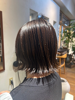 Botanica 【ボタニカ】×スタイル