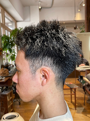 Botanica 【ボタニカ】×スタイル