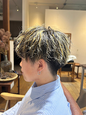 Botanica 【ボタニカ】×スタイル