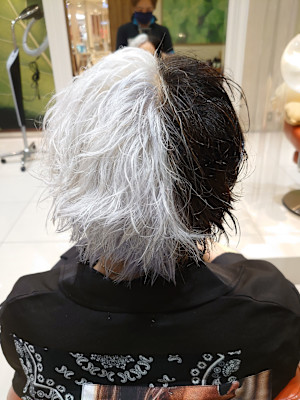 TRANS SALON×スタイル