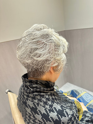 TRANS SALON×スタイル