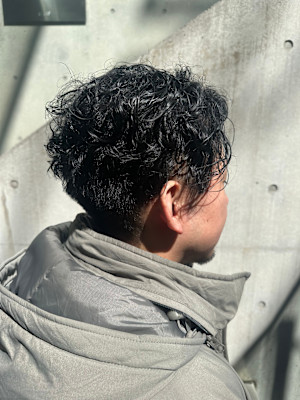 TRANS SALON×スタイル