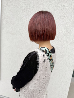 the one .×スタイル