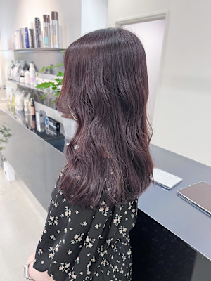 the one .×スタイル