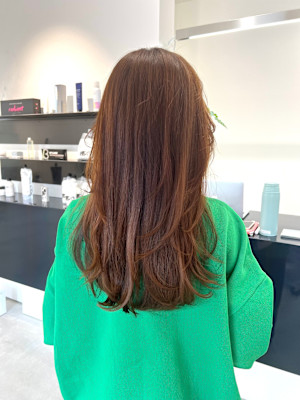 the one .×スタイル