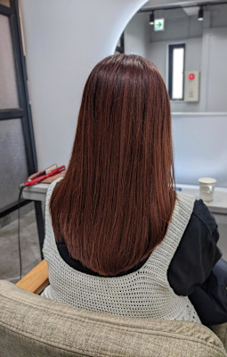 春の新色◎ポピー