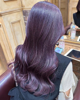 ダークパープル/ラベンダーグレー/セミロングレイヤー/A15