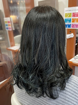 アディクシーカラー×ブルージュ