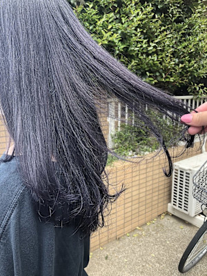 アディクシーカラー×グレーパール