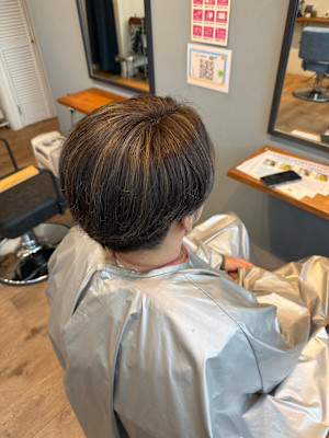 白髪ぼかし/ブラウングレー