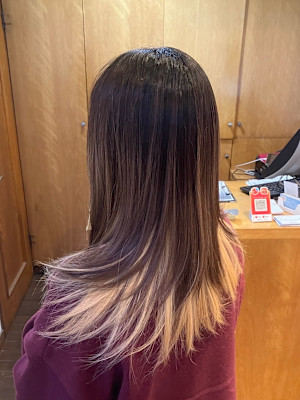 L'レイヤー(ローレイヤー)