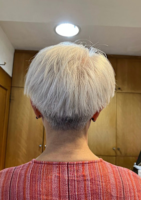 S'グラデ（ツーブロック×刈り上げ）