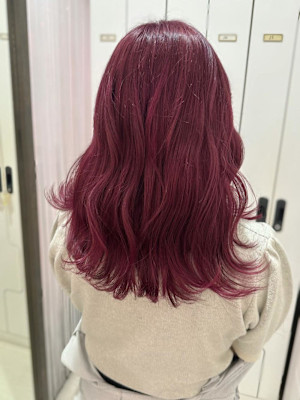 バーガンディ/ブリーチあり