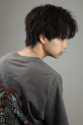 ツイスパミニウルフ