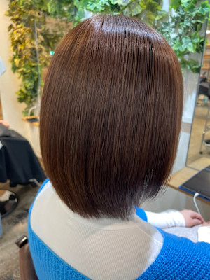 ミニウルフ/くすみブルー/テラコッタ/韓国マッシュ/くびれヘ