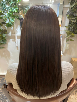 ミニウルフ/くすみブルー/テラコッタ/韓国マッシュ/くびれヘ